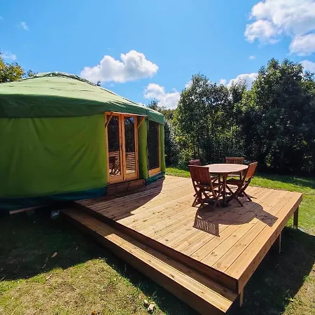 Tente de luxe Vert Et Bois